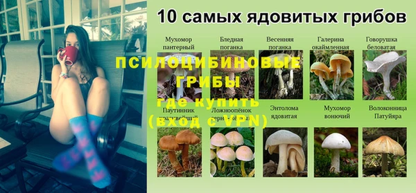 дурь Армянск